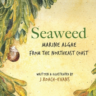 Seaweed: Marine Algae from the Northeast Coast by Oliveira, Erin M.