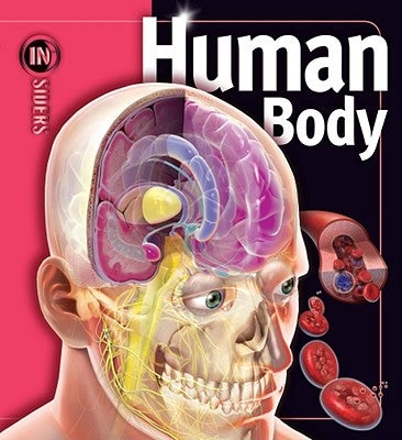 Human Body by Calabresi, Linda