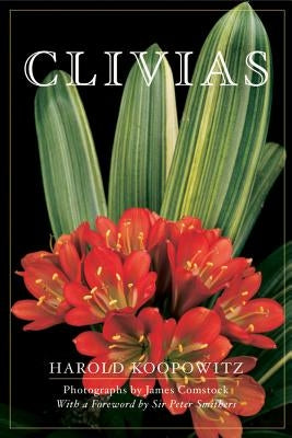 Clivias by Koopowitz, Harold