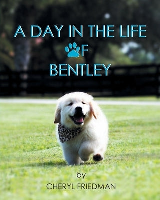 A Day in the Life of Bentley by Friedman, Cheryl