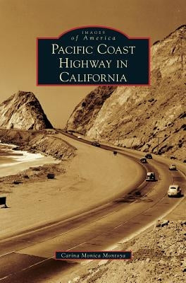 Pacific Coast Highway in California by Montoya, Carina Monica