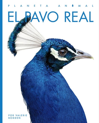 El Pavo Real by Riggs, Kate