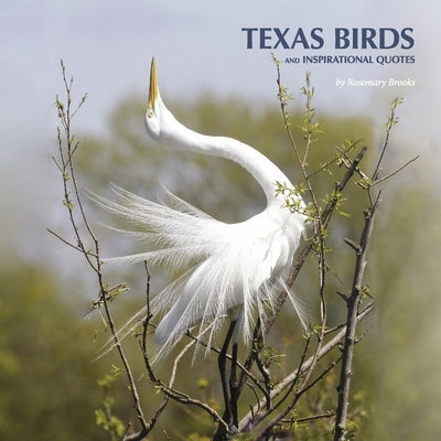 Texas Birds and Inspirational Quotes by Brooks, Rosemary