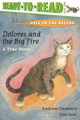 Dolores and the Big Fire: Dolores and the Big Fire (Ready-To-Read Level 1) by Clements, Andrew