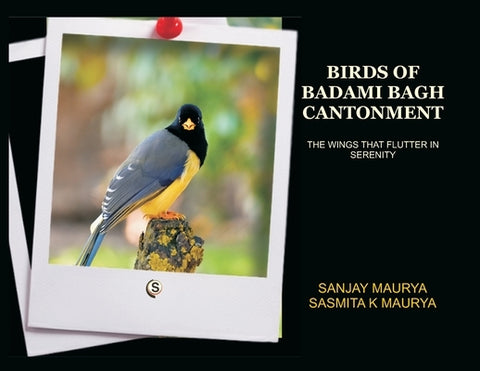 Birds of Badami Bagh Cantonment by Maurya, Sanjay