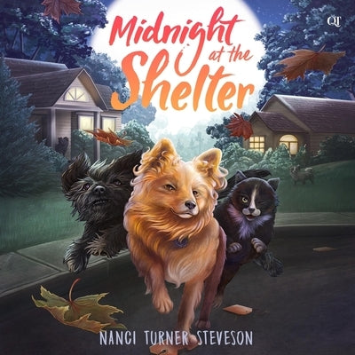 Midnight at the Shelter by Steveson, Nanci Turner