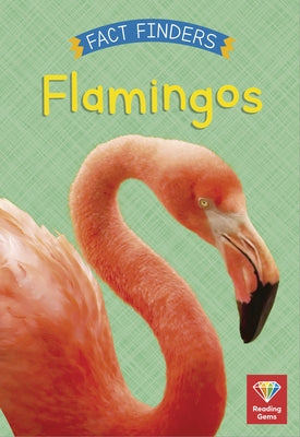 Flamingos by Woolley, Katie
