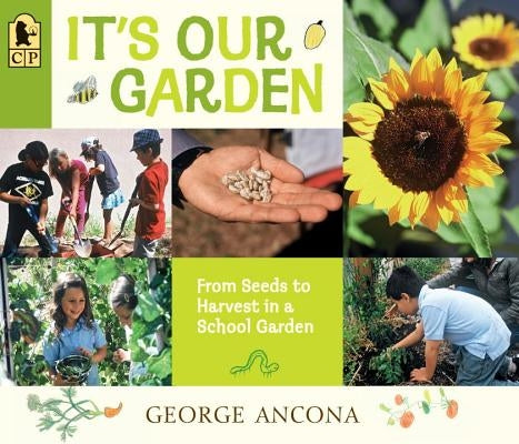 It's Our Garden: From Seeds to Harvest in a School Garden by Ancona, George