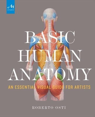 Basic Human Anatomy: An Essential Visual Guide for Artists by Osti, Roberto
