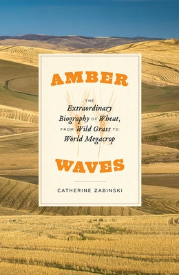 Amber Waves: The Extraordinary Biography of Wheat, from Wild Grass to World Megacrop by Zabinski, Catherine