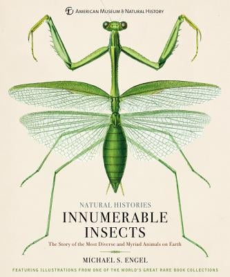 Innumerable Insects: The Story of the Most Diverse and Myriad Animals on Earth by Engel, Michael S.