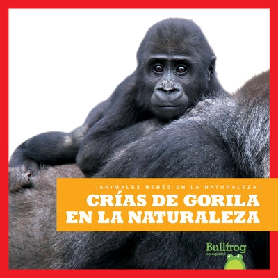 Crías de Gorila En La Naturaleza (Gorilla Infants in the Wild) by Brandle, Marie