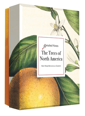 The Trees of North America: A Detailed Notes Notecard Box by Editors of Abbeville Press