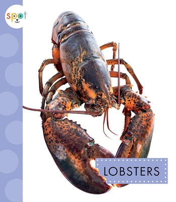 Lobsters by Schuh, Mari C.