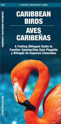 Caribbean Birds/Aves Caribenas: A Folding Pocket Guide to Familiar Species/Una Guia Plegable Portatil de Especies Conocidas by Waterford Press