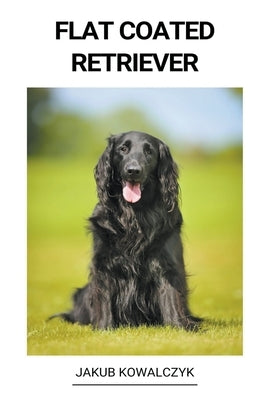 Flat Coated Retriever by Kowalczyk, Jakub