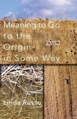 Meaning to Go to the Origin in Some Way by Russo, Linda