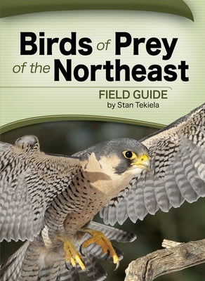 Birds of Prey of the Northeast Field Guide by Tekiela, Stan