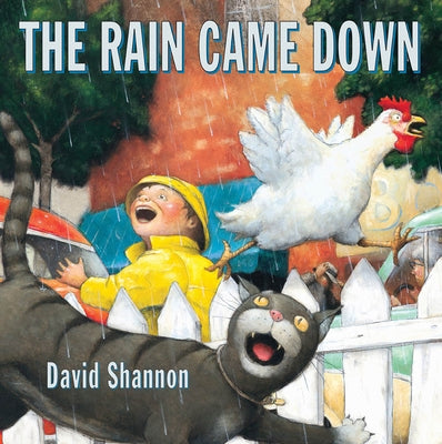 The Rain Came Down by Shannon, David