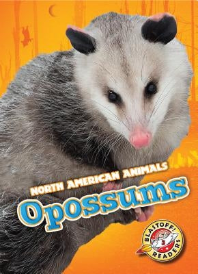 Opossums by Rathburn, Betsy