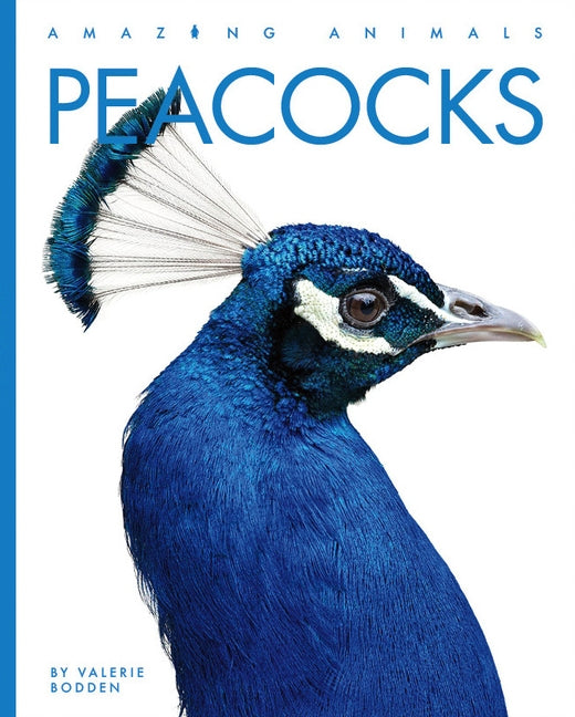 Peacocks by Bodden, Valerie