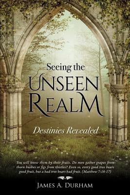 Seeing the Unseen Realm by Durham, James A.