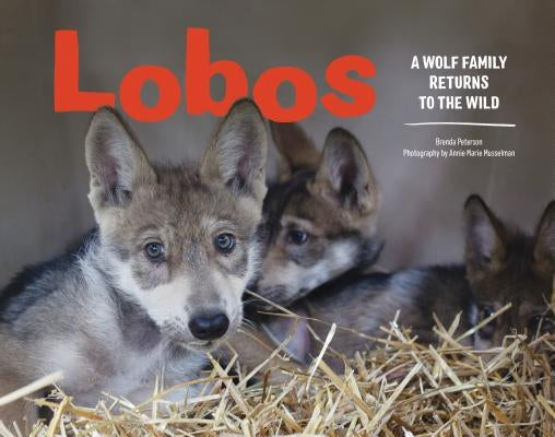 Lobos: A Wolf Family Returns to the Wild by Peterson, Brenda