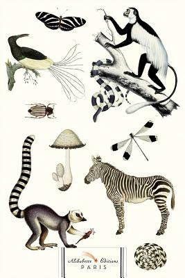Noir Et Blanc (Black & White Animals): Nature Is the Designer! by Alibabette Editions