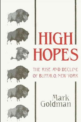 High Hopes: The Rise and Decline of Buffalo, New York by Goldman, Mark