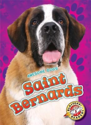 Saint Bernards by Sommer, Nathan