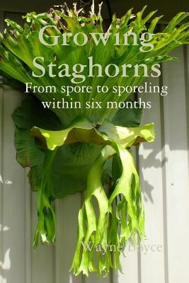Growing Staghorns from Spore by Boyce, Wayne
