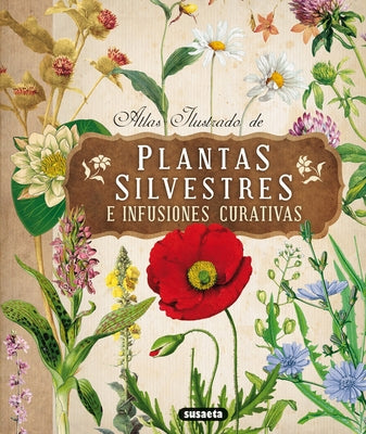 Atlas Ilustrado de Plantas Silvestres E Infusiones Curativas by Susaeta Publishing Inc