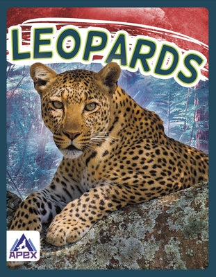 Leopards by Geister-Jones, Sophie