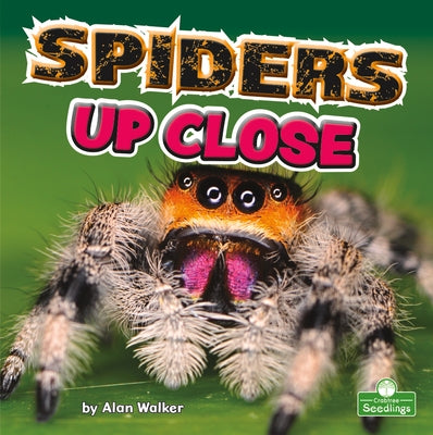 Spiders Up Close by Walker, Alan