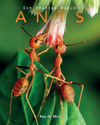 Ants: Amazing Pictures & Fun Facts on Animals in Nature by De Silva, Kay