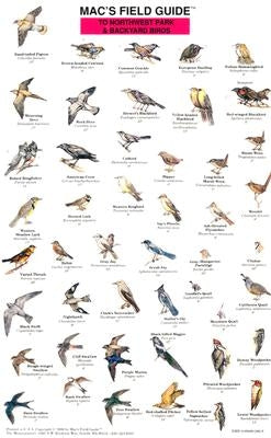 Mac's Field Guides: Northwest Park & Backyard Birds by Macgowan, Craig