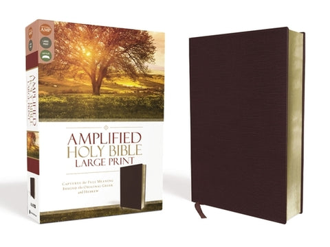 Amplified Bible-Am-Large Print: Captures the Full Meaning Behind the Original Greek and Hebrew by Zondervan