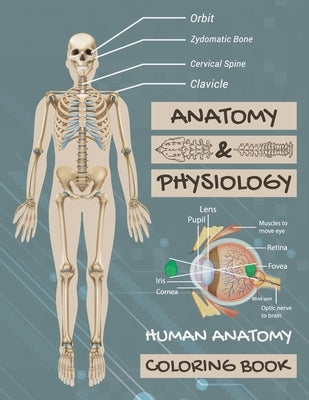 Anatomy & Physiology: Human Anatomy Coloring Book: Human Body Coloring Book, The Anatomy Of Coloring Book. by Puzzles, Dascity