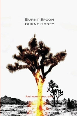 Burnt Spoon Burnt Honey by Aguero, Anthony