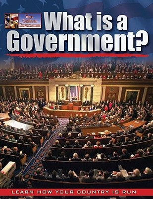 What Is a Government? by Bedesky, Baron