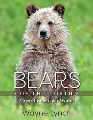 Bears of the North: A Year Inside Their Worlds by Lynch, Wayne