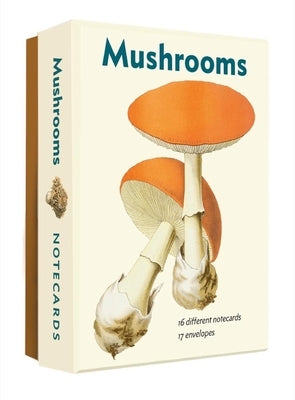 Mushrooms: An Abbeville Notecard Set by Editors of Abbeville Press