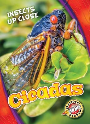 Cicadas by Leaf, Christina