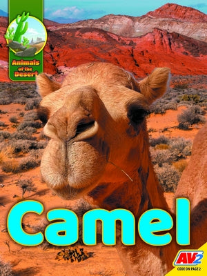 Camel by Durrie, Karen