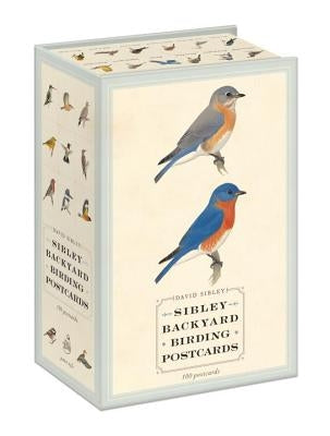 Sibley Backyard Birding Postcards: 100 Postcards by Sibley, David