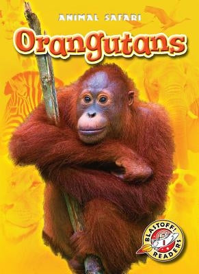 Orangutans by Borgert-Spaniol, Megan