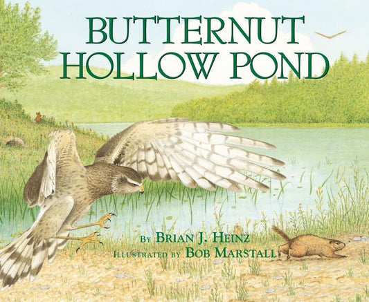 Butternut Hollow Pond by Heinz, Brian