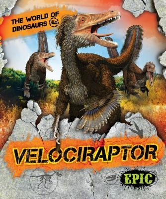 Velociraptor by Sabelko, Rebecca