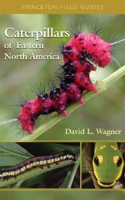 Caterpillars of Eastern North America: A Guide to Identification and Natural History by Wagner, David L.