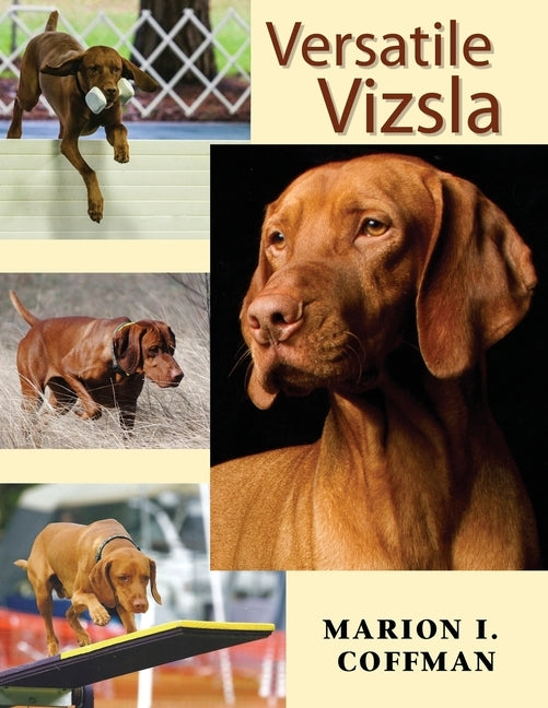 Versatile Vizsla by Coffman, Marion I.